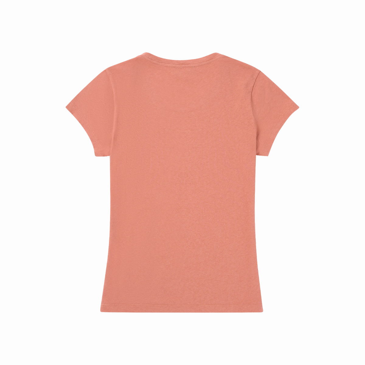 Amundsen Sports (Sample) - Women's Linen Tee - Faded Terra Red - Futureproof.life